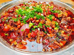 -食神又名厕所兔