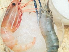 -雍和会海鲜姿造自助(湖东路店)