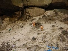 -对天河漂流
