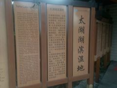 -太湖湖滨国家湿地公园-停车场