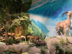 -重庆中国三峡博物馆(重庆博物馆)