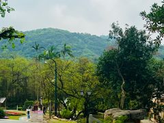 -广州市白云山风景名胜区