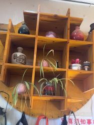 -小红帽摄影(丽江店)