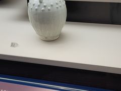 -九龙公园