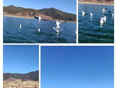 -丽江泸沽湖景区