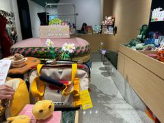 -電力宠物公司(武定路店)