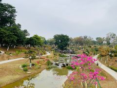 -东莞植物园