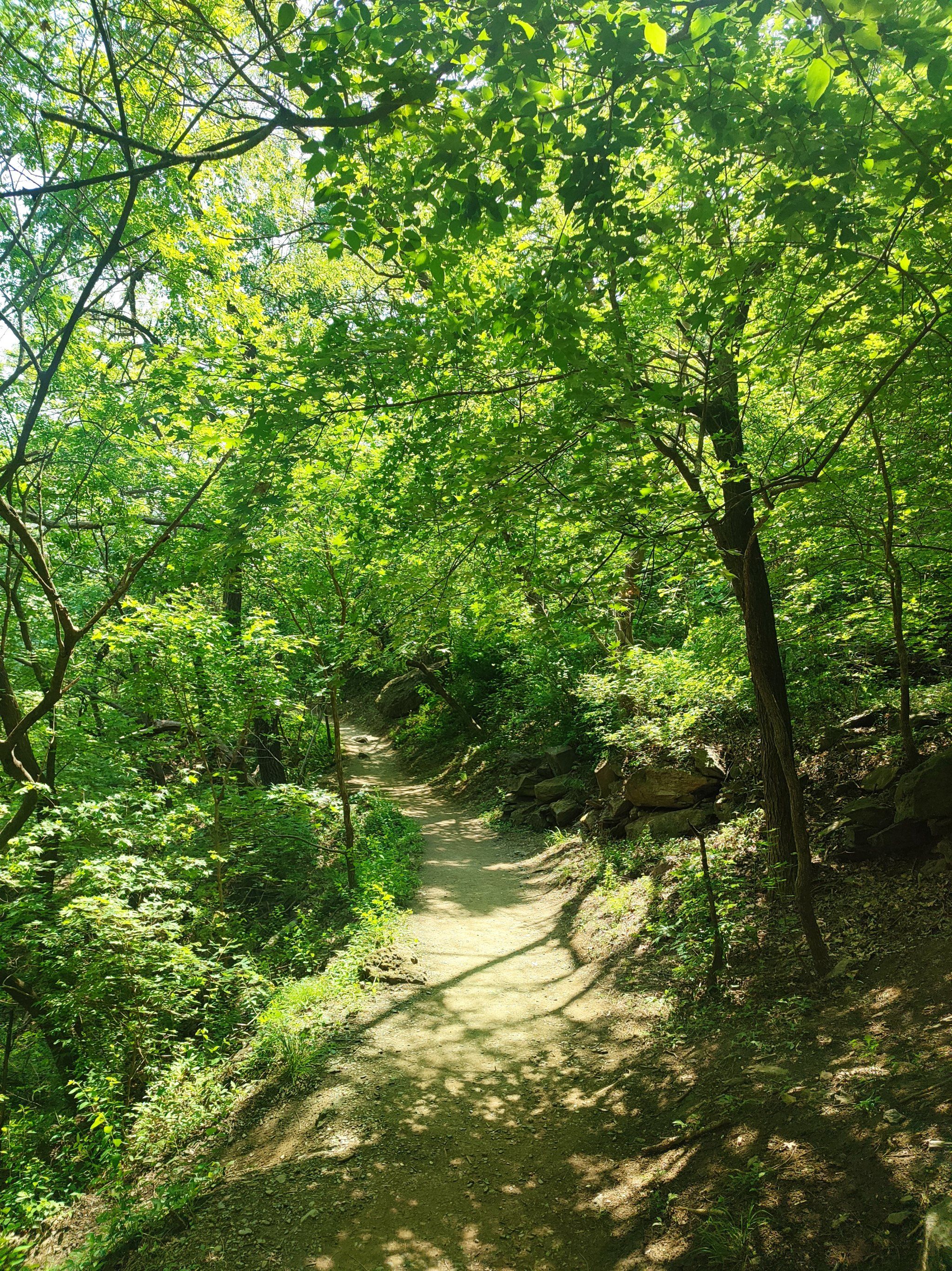 曲径通幽的山间路