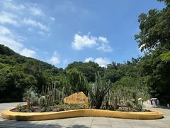 -深圳仙湖植物园