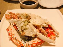 -金燕岛潮州酒楼