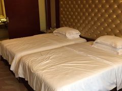 -圣爵菲斯大酒店(长沙世界之窗店)