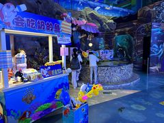 -烟台海昌鲸鲨海洋公园