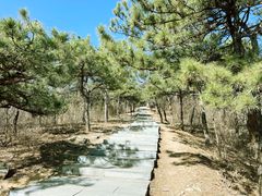 -北京西山国家森林公园