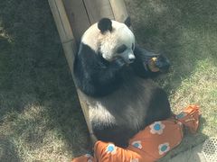 -大连森林动物园