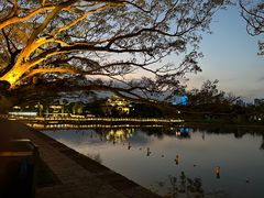 -江心屿景区