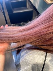 -东方麒麟·潘多拉SALON