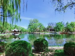 -陶然亭公园
