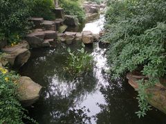 -范蠡湖公园