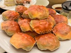 -王宝和酒家(黄浦店)