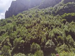 -小五台金河景区