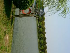 android_upload_pic-上海鲜花港