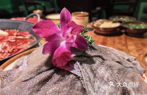 Fresh Beef Tripe from the Slaughterhouse