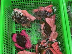-众味海鲜大排档·活海鲜·潮汕味(南澳店)