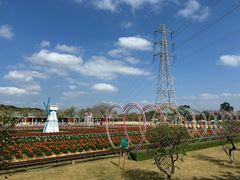 -盈香心动乐园