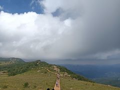 -白草畔自然风景区