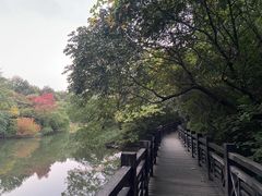 -白马涧龙池景区