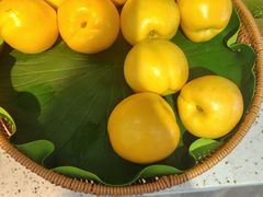 鲜黄桃-春华海鲜城(广场西苑店)