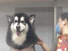 -宠福鑫康馨动物医院·骨科·眼科