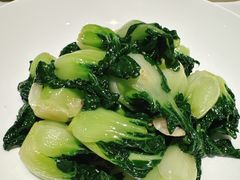 炝炒白豆子-四季民福烤鸭店(望京旺角店)