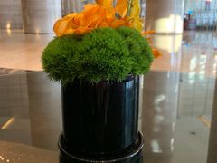 -青岛富力艾美酒店