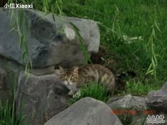 照片-西昌邛海宾馆