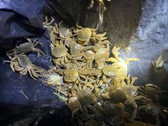 -温岭石塘海边