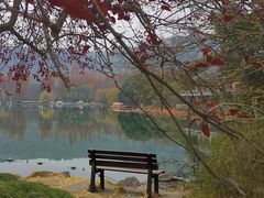 -西湖外事游船(花港观鱼码头)