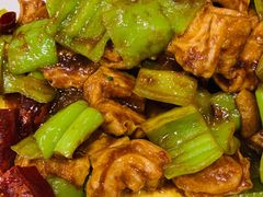 辣炒肥肠-鸢飞潍坊菜馆(鸢飞大酒店)