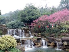 -兰溪地下长河