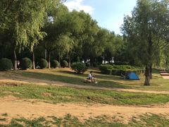 -丁香湖公园