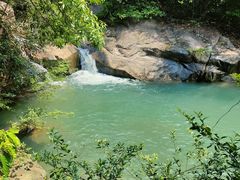 -广州白江湖森林公园