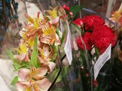 -七鲜超市(万向城店)