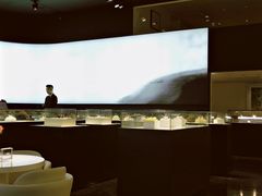 -BLACKSWAN黑天鹅(环球店)