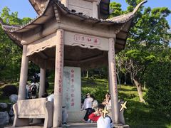 -观潮胜地公园