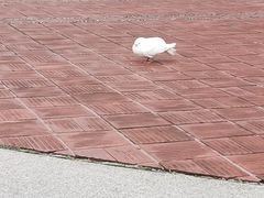 -上海交通大学闵行校区-包玉刚图书馆