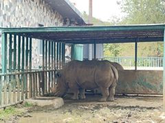 -哈尔滨北方森林动物园