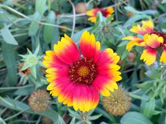 -姥家大锅台水库渔家