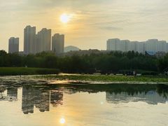 -前关湿地公园