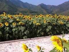 -雾灵西峰