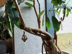 -山下C5cafe(惠通时代广场店)